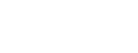 Logo Newen Mapu